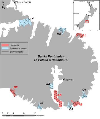 Prey and habitat characteristics contribute to hotspots of distribution for an endangered coastal dolphin